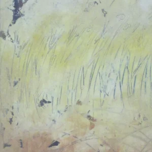 No Title (20150123-06)