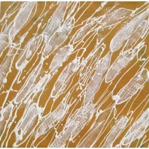 夕日の波しぶき