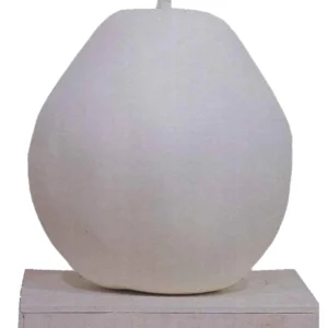 実 #1