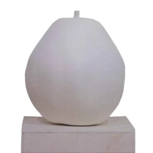 実 #1