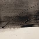 Fire wood4