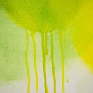 花＊花 #Y4