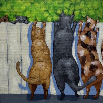 猫の日1