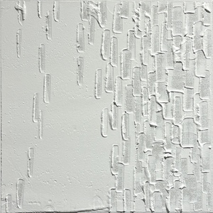 Shadow350#3