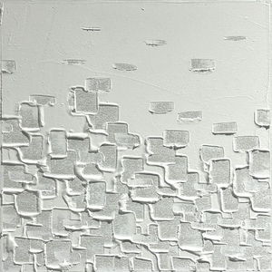 Shadow350#4