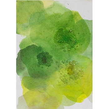 花＊花 #61