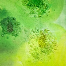 花＊花 #64