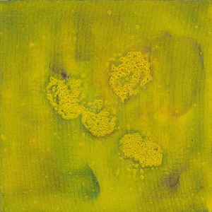 Miracle #3