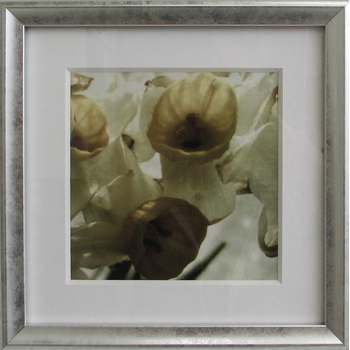 Fleur1
