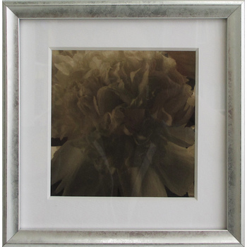 Fleur1