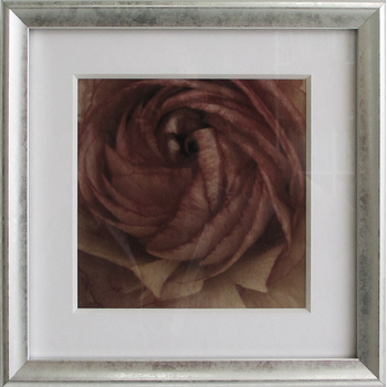 Fleur1