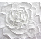 Flower4