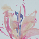 untitled3
