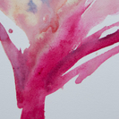 untitled5