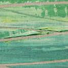 TSUNAGU -The path-5