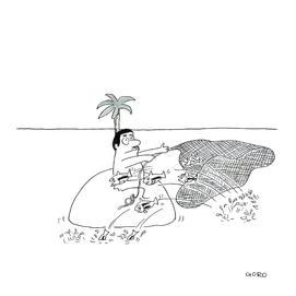賢い魚2