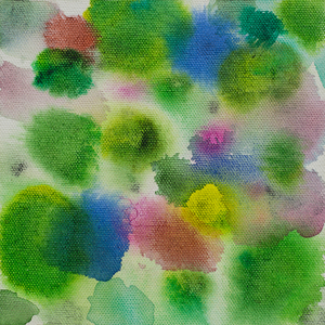 花＊花