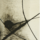 Fire wood3