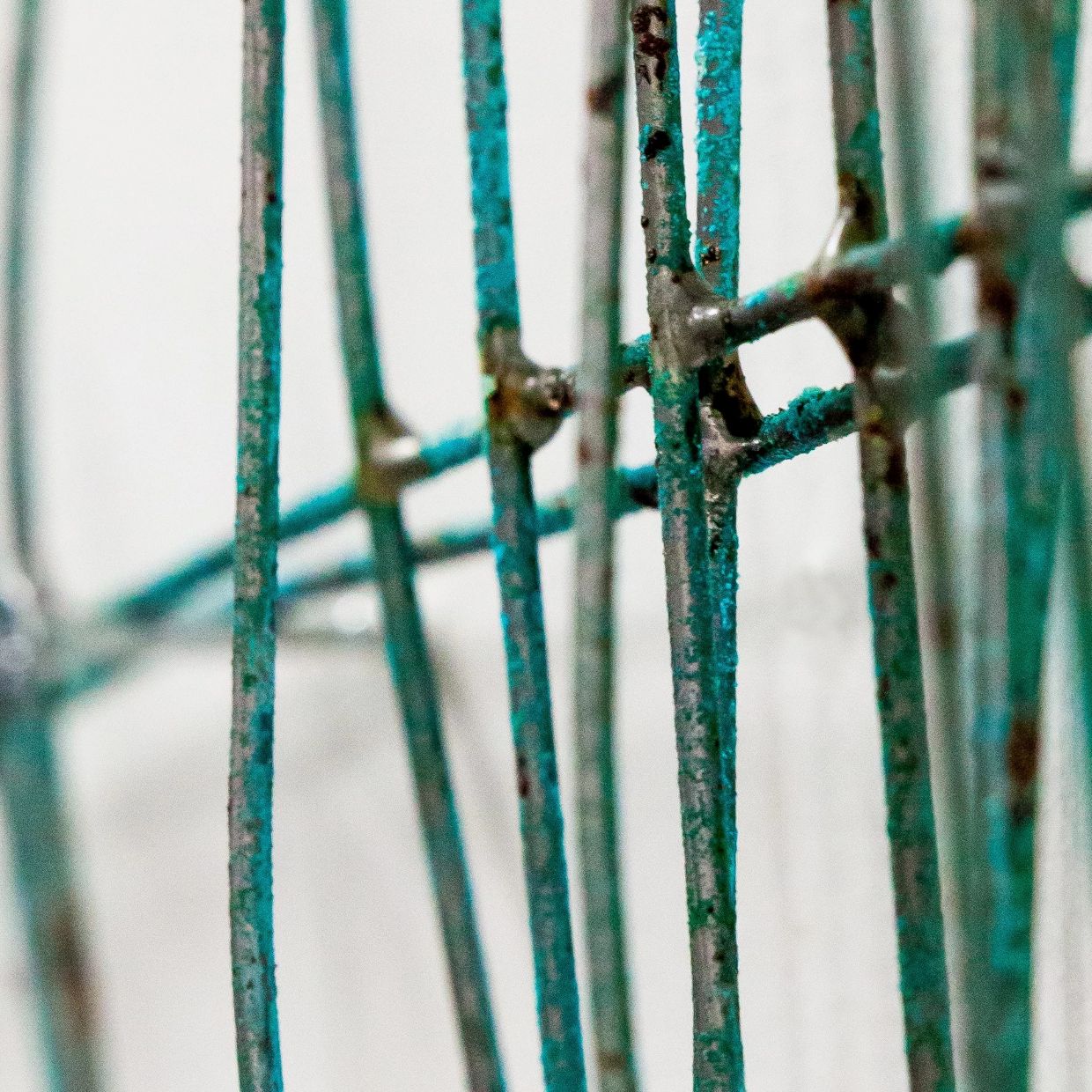 BOOK OF NATURE - 画像 (3)