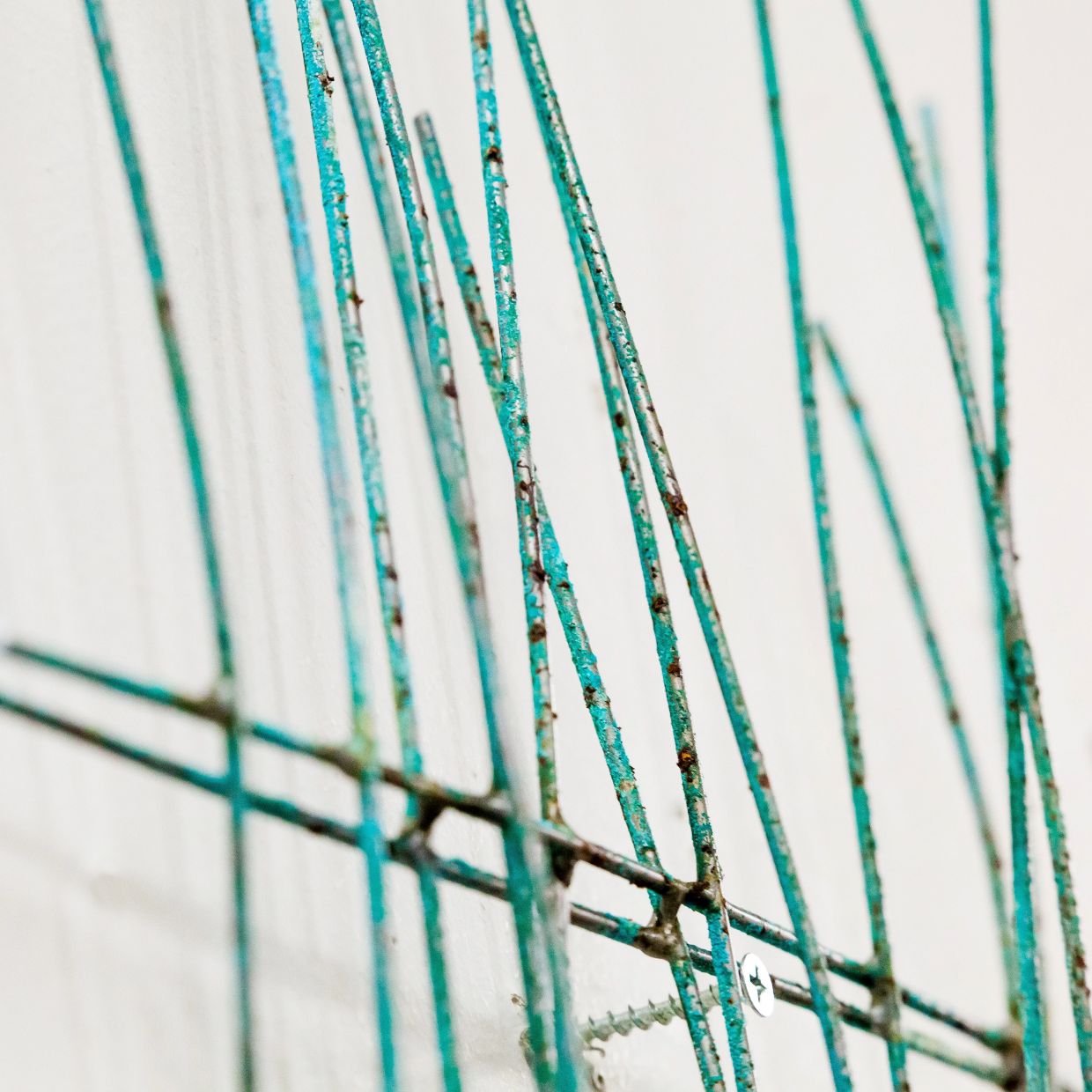 BOOK OF NATURE - 画像 (4)