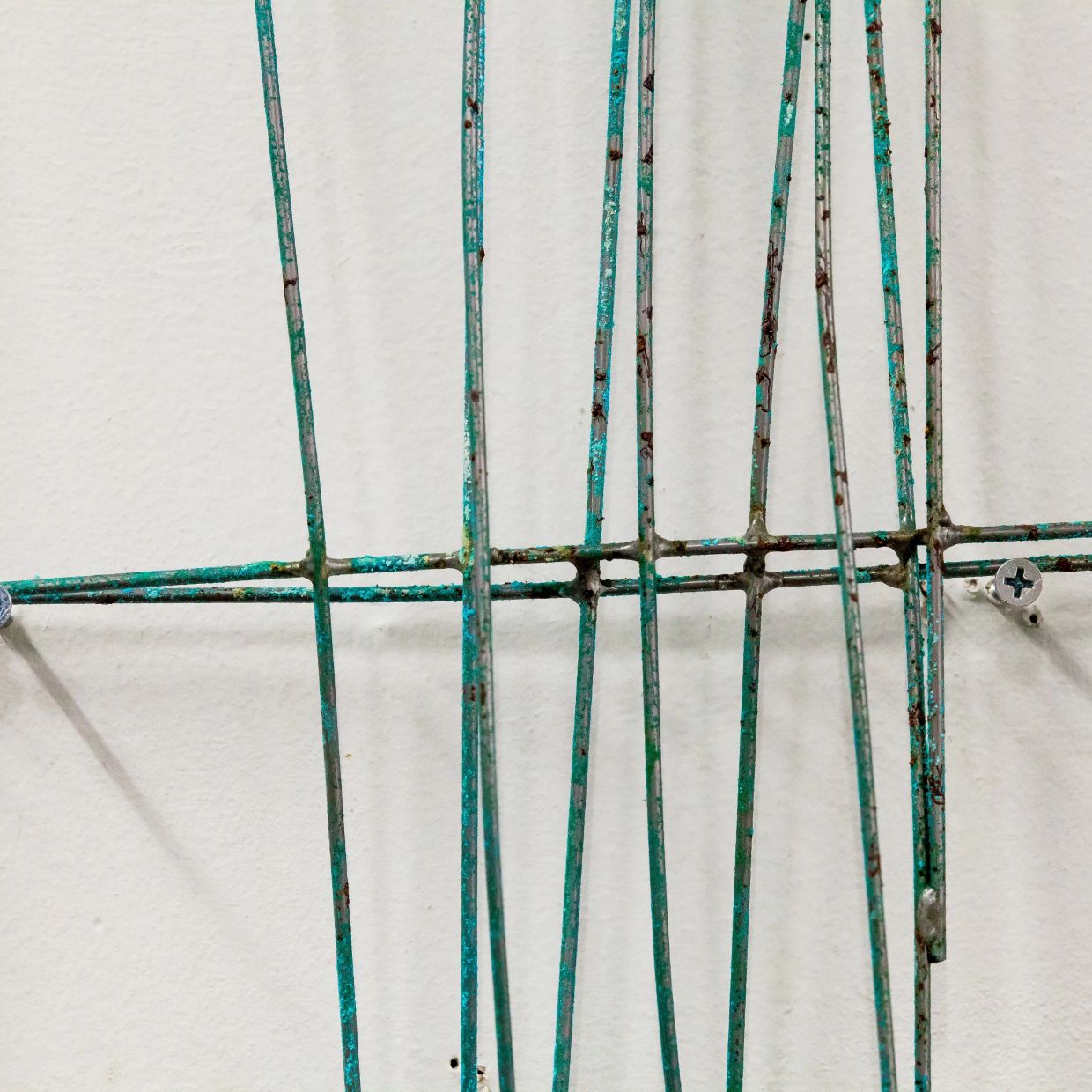 BOOK OF NATURE - 画像 (5)