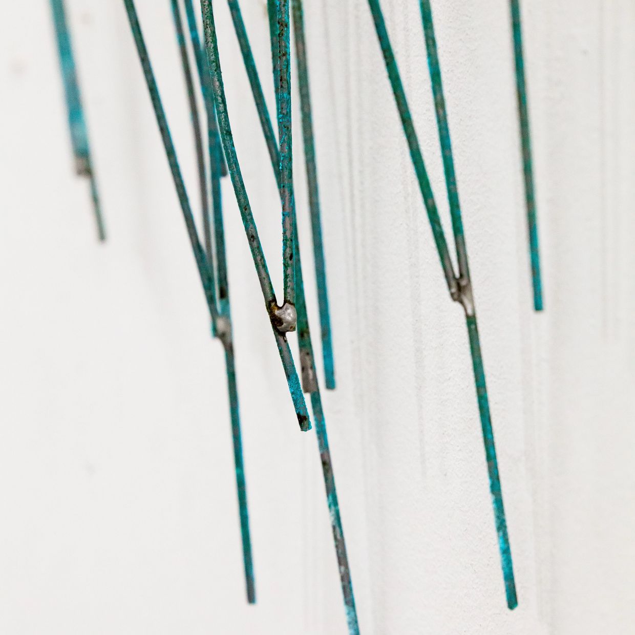 BOOK OF NATURE - 画像 (6)