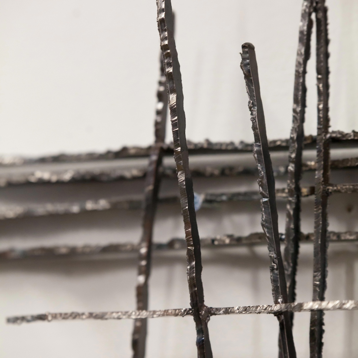 BOOK OF NATURE - 画像 (3)