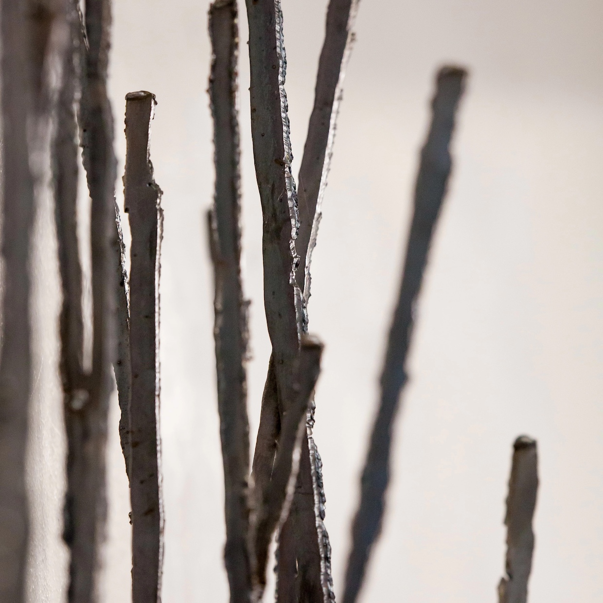 BOOK OF NATURE - 画像 (4)