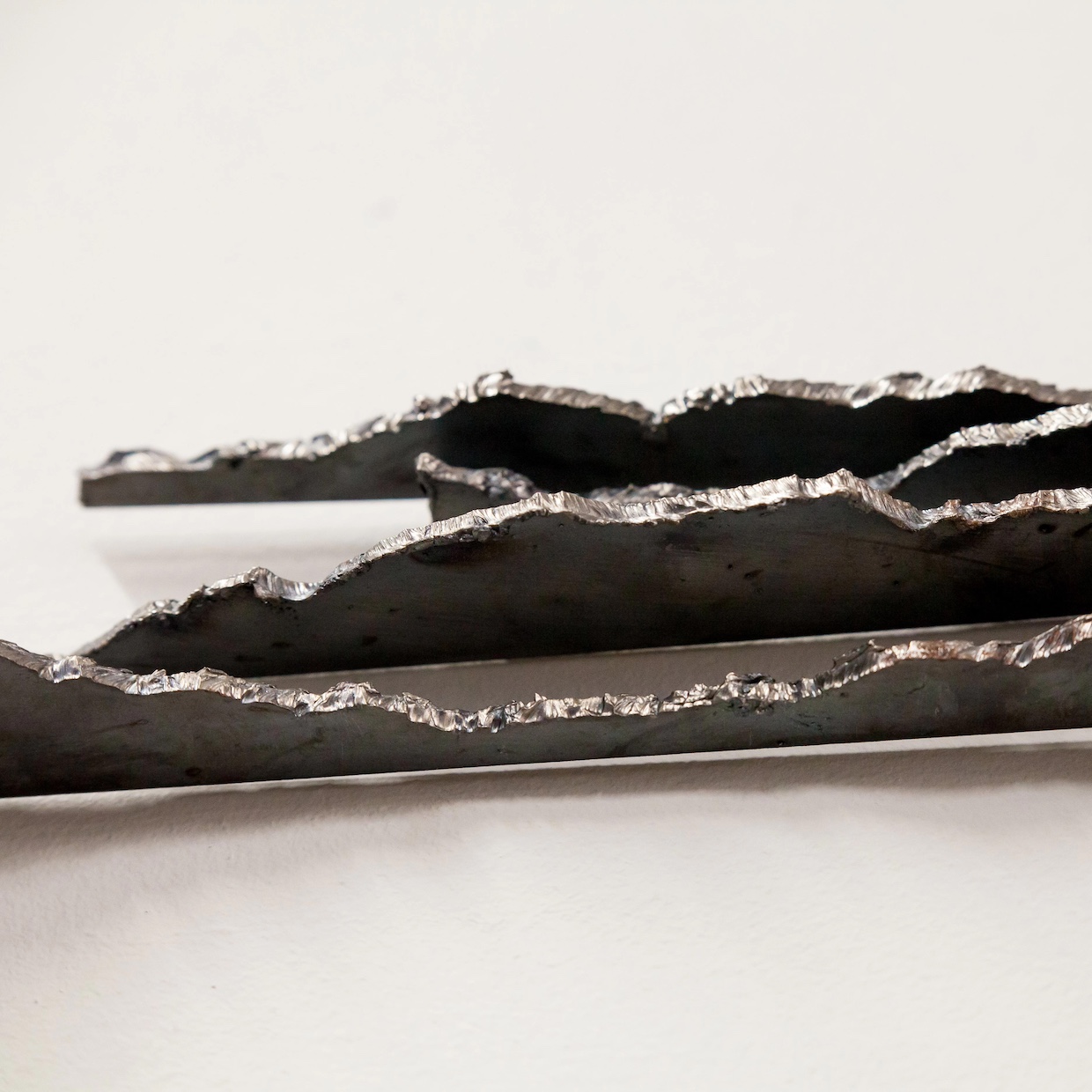 BOOK OF NATURE - 画像 (5)