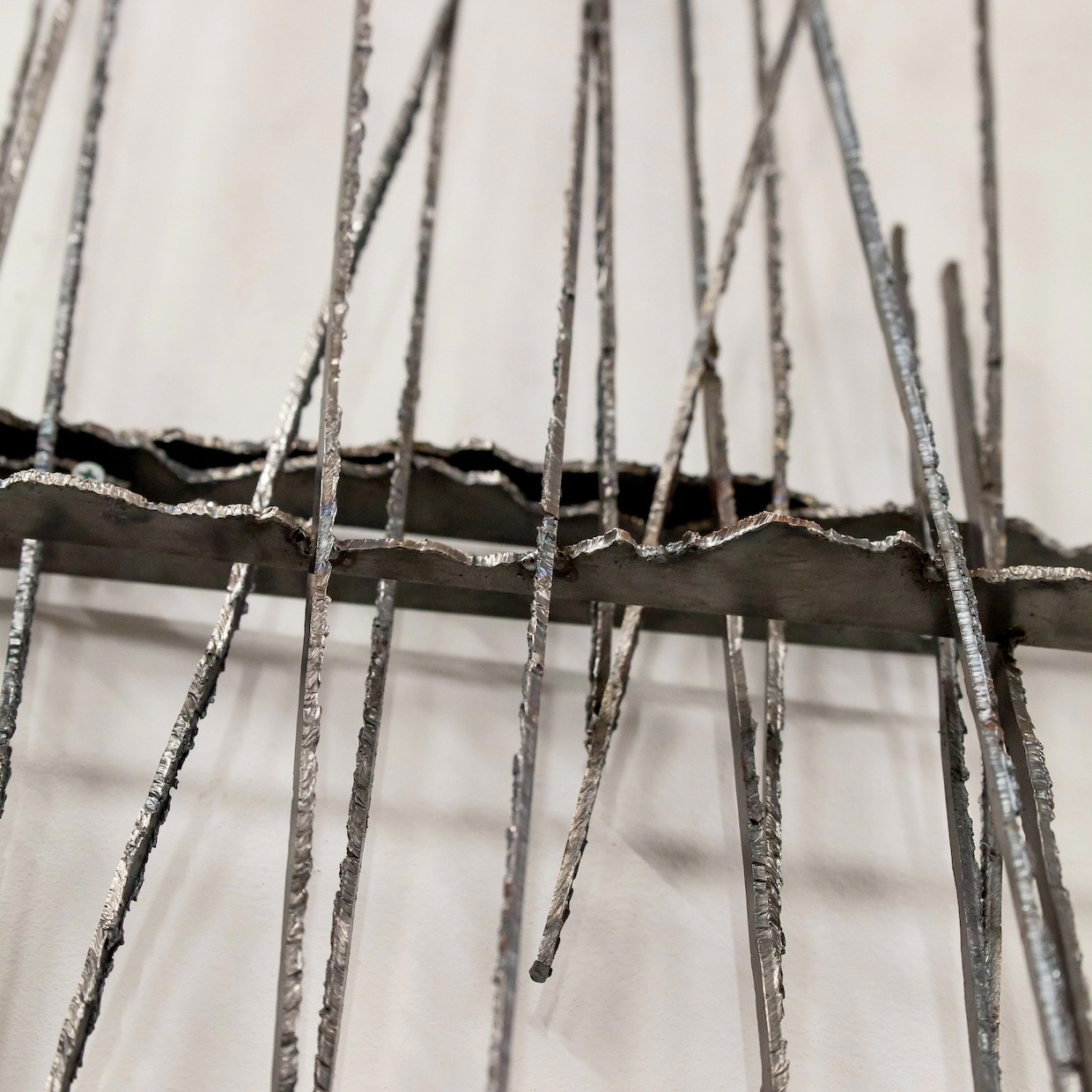 BOOK OF NATURE - 画像 (6)