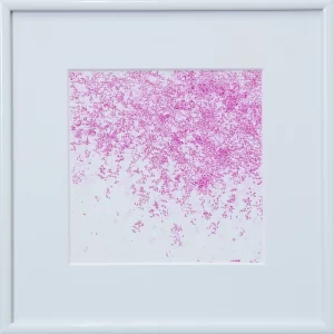 桜のような・・・