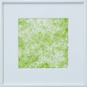 桜のような・・・