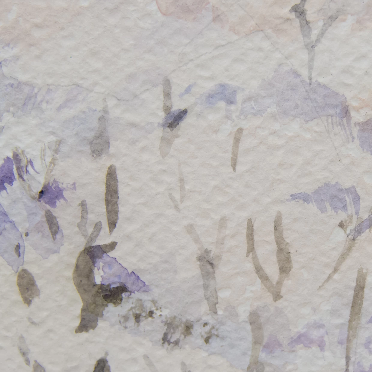 untitled - 画像 (4)