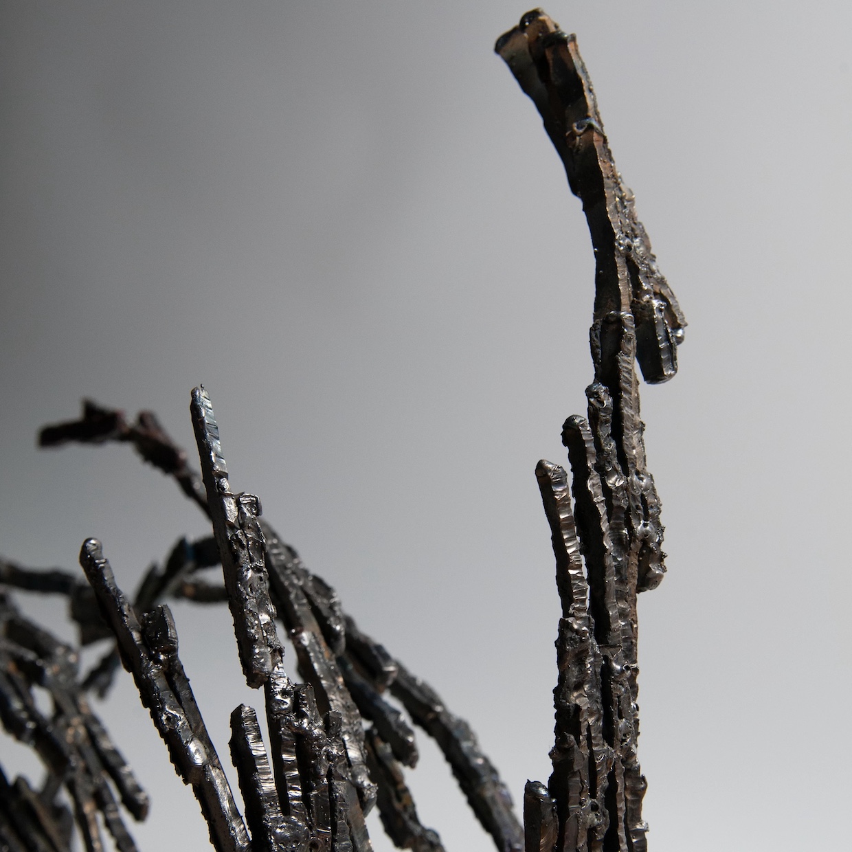 再構築 - 画像 (5)