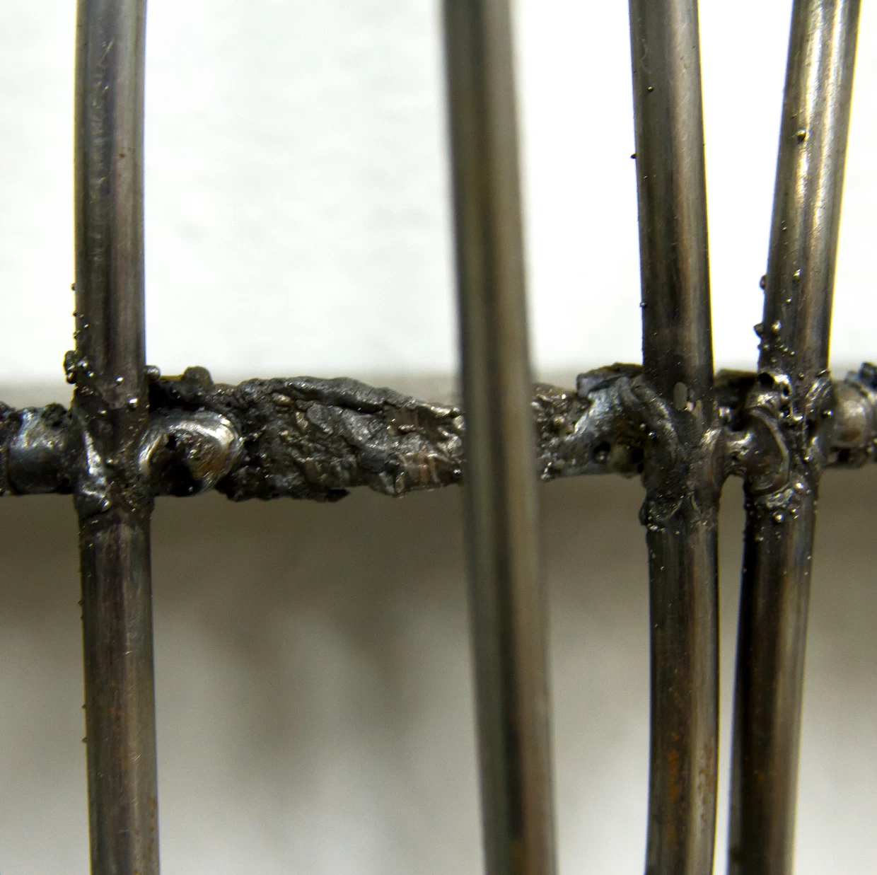 BOOK OF NATURE #2 - 画像 (5)