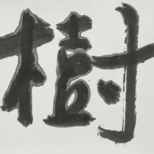 樹