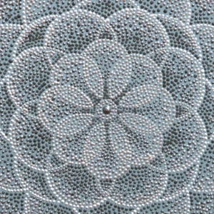 花光る B