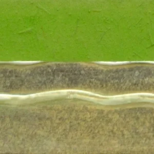 No Title (20140905-16)