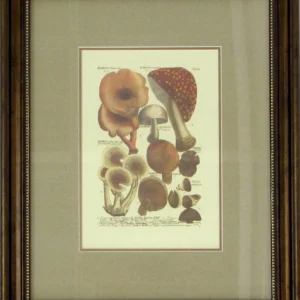 No Title (20140428-11)