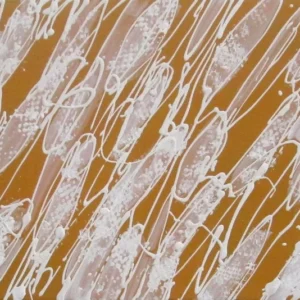 夕日の波しぶき