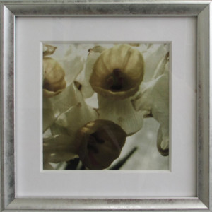 Fleur