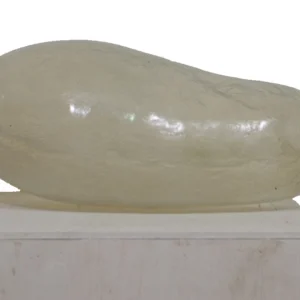 実 #7